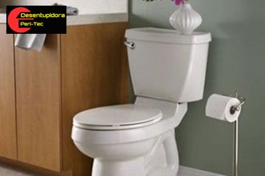 desentupimento de vaso sanitario